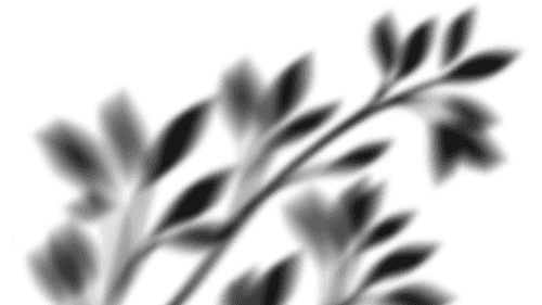 Shadow overlay